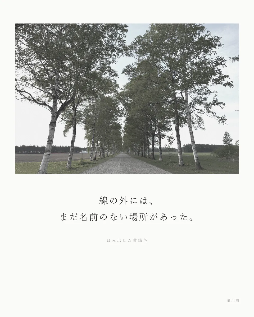 はみ出した黄緑色