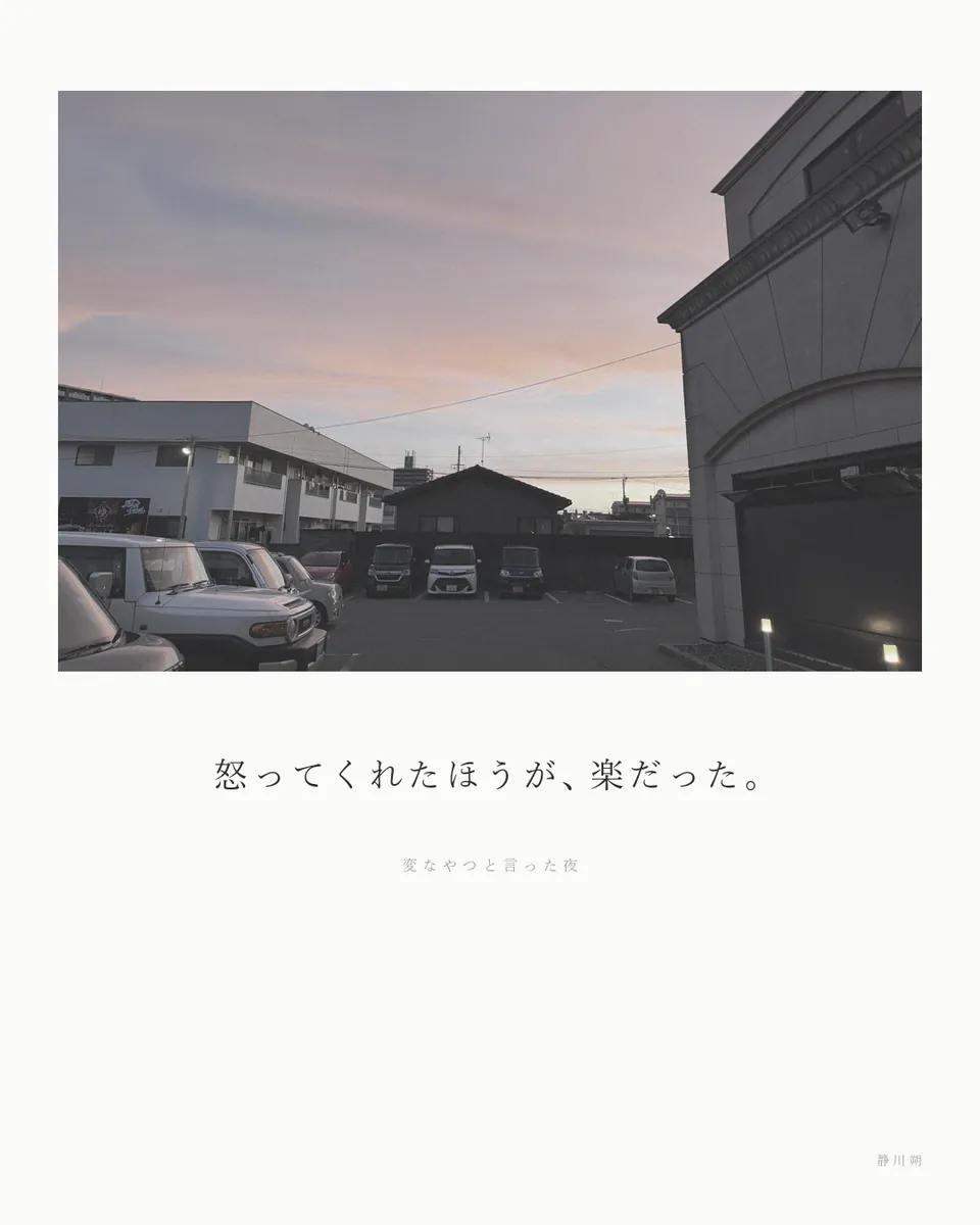 変なやつと言った夜