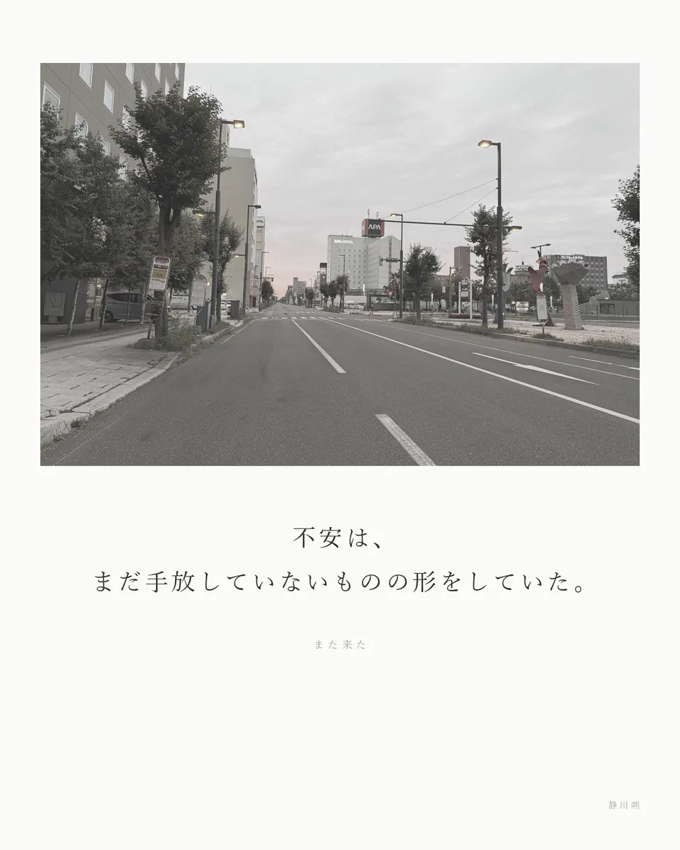 また来た