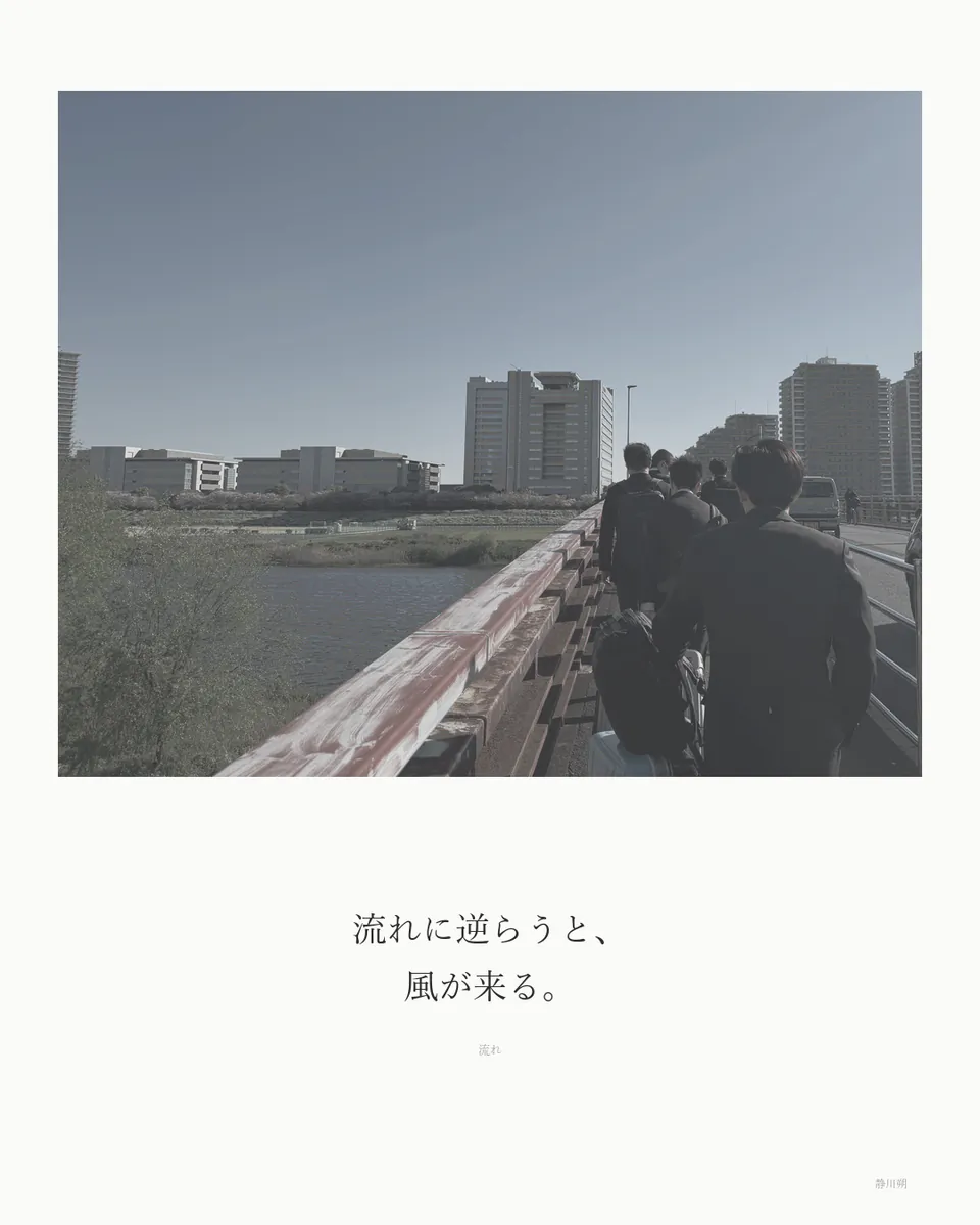 流れ